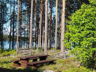 Виллы Aalto Koli Колинкюла Улучшенная вилла-6