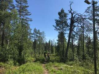 Дома для отпуска Starflower of Ylläs Юллясярви Дом с 3 спальнями-74