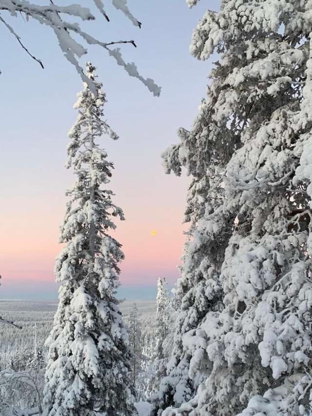 Дома для отпуска Starflower of Ylläs Юллясярви-33