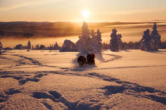 Шале Huskylodge Саариселькя-38