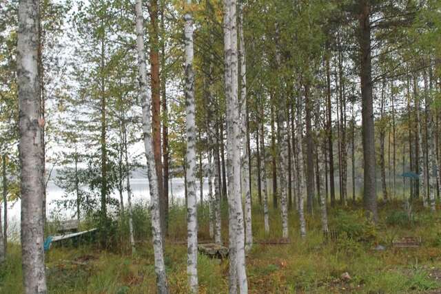 Шале Lake Cottage Koivuniemi Колинкюла-67