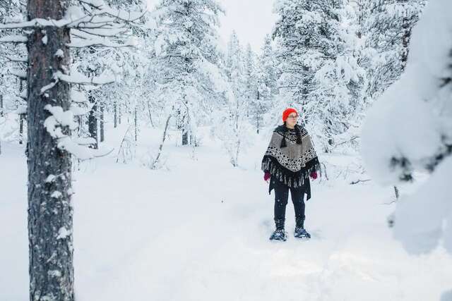 Виллы Arctic Sky Lapland Саариселькя-11