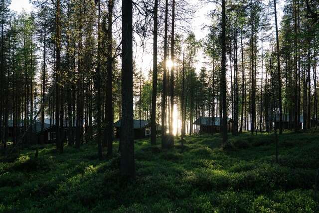 Шале LakeLodge Kiehinen Рованиеми-9