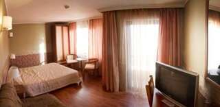 Отель Aneli Hotel Банско Двухместный номер с 1 кроватью или 2 отдельными кроватями-9