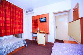 Отель Hotel Aneli Сандански Двухместный номер с 1 кроватью или 2 отдельными кроватями-7
