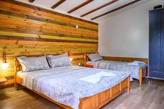 Гостевой дом Medi Guest House Сапарева-Баня Двухместный номер с двуспальной кроватью и дополнительной кроватью-5