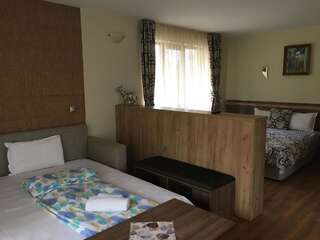 Гостевой дом Kot Garden Guest House Сапарева-Баня Номер-студио Делюкс с кроватью размера "king-size"-3