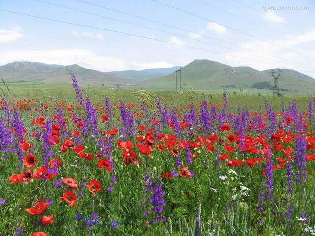 Отели типа «постель и завтрак» Old Tatev B&B Татев-15