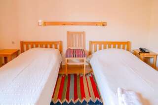 Отель Hotel Mirhav Горис Просторный двухместный номер с 2 отдельными кроватями-20