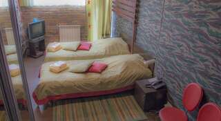 Гостиница Турист Барнаул Стандартный двухместный номер с 2 отдельными кроватями-8