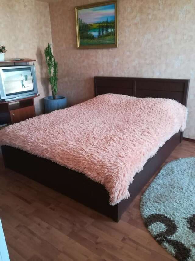 Апартаменты Apartment in the centre of Orsha Орша-21