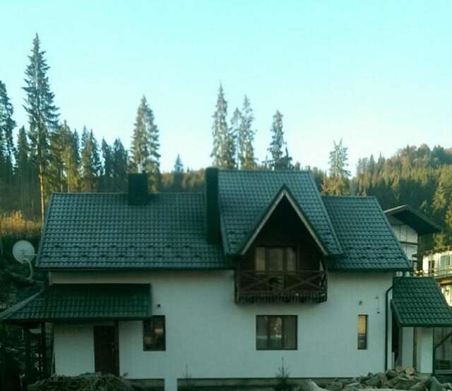 Дома для отпуска Proskurov Holiday Home Буковель-3