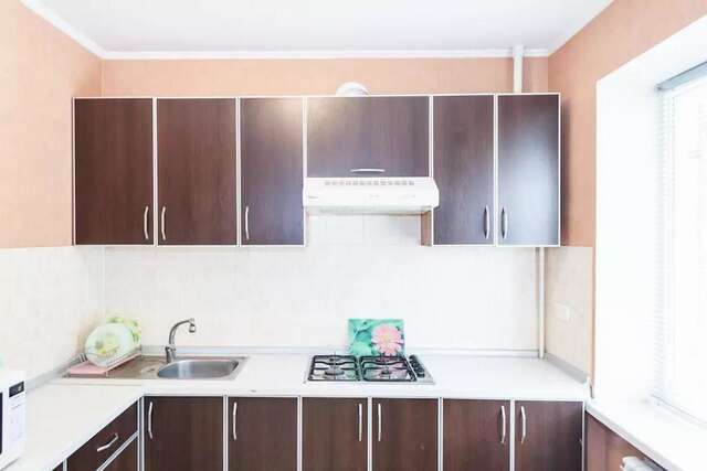 Апартаменты Apartment in Zaporozhye. Antica Запорожье-9