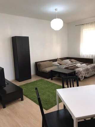 Апартаменты Apartment on square Sh. Petefi, centre. 1 room Ужгород Апартаменты-студио-14