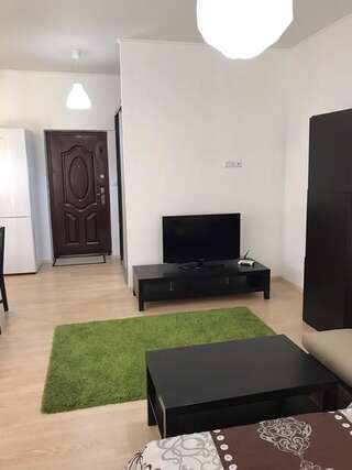 Апартаменты Apartment on square Sh. Petefi, centre. 1 room Ужгород Апартаменты-студио-5