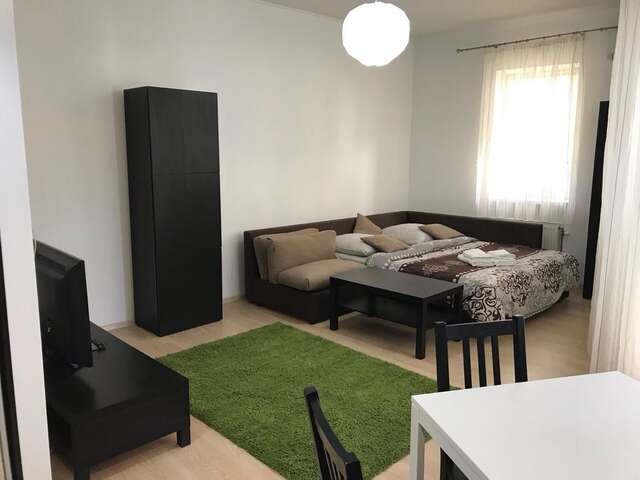 Апартаменты Apartment on square Sh. Petefi, centre. 1 room Ужгород-5