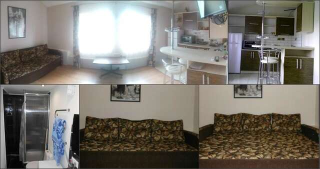 Апартаменты Rent daily apartment in center 5/5 Ивано-Франковск-9