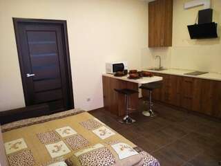 Апартаменты Apartments in Uzhgorod for you. Ужгород Апартаменты Делюкс-4