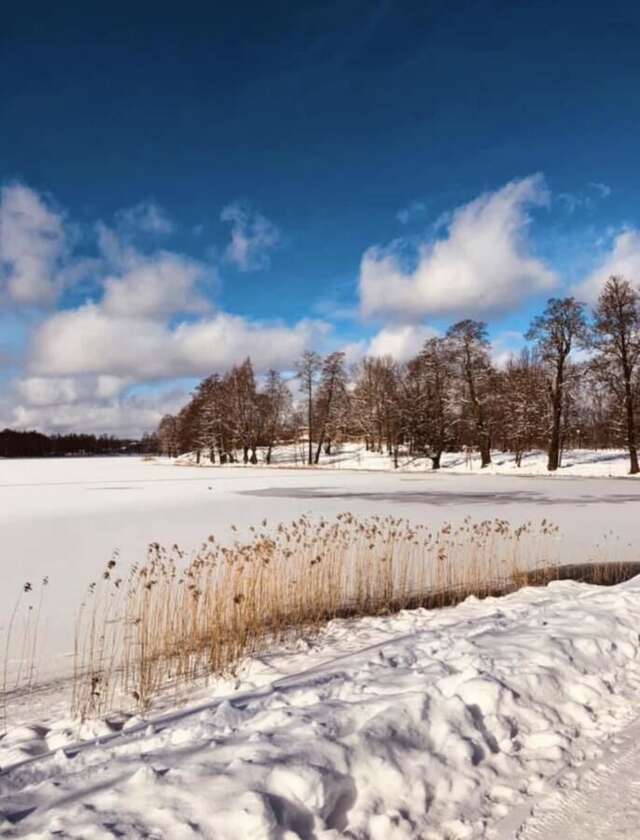 Дома для отпуска Jost Residence Алуксне-35