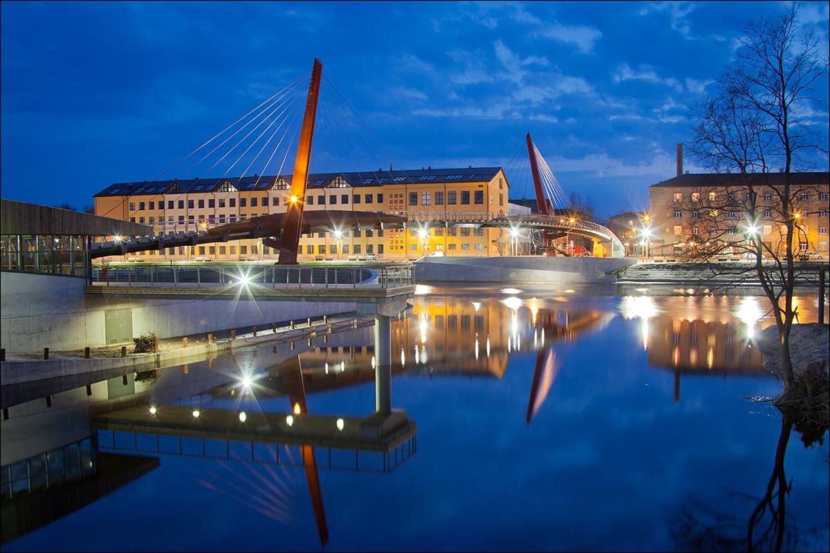 Ауда елгава. Литва Елгава. Латвия Елгава мост. Елгава достопримечательности. Латвия Елгава фото город.