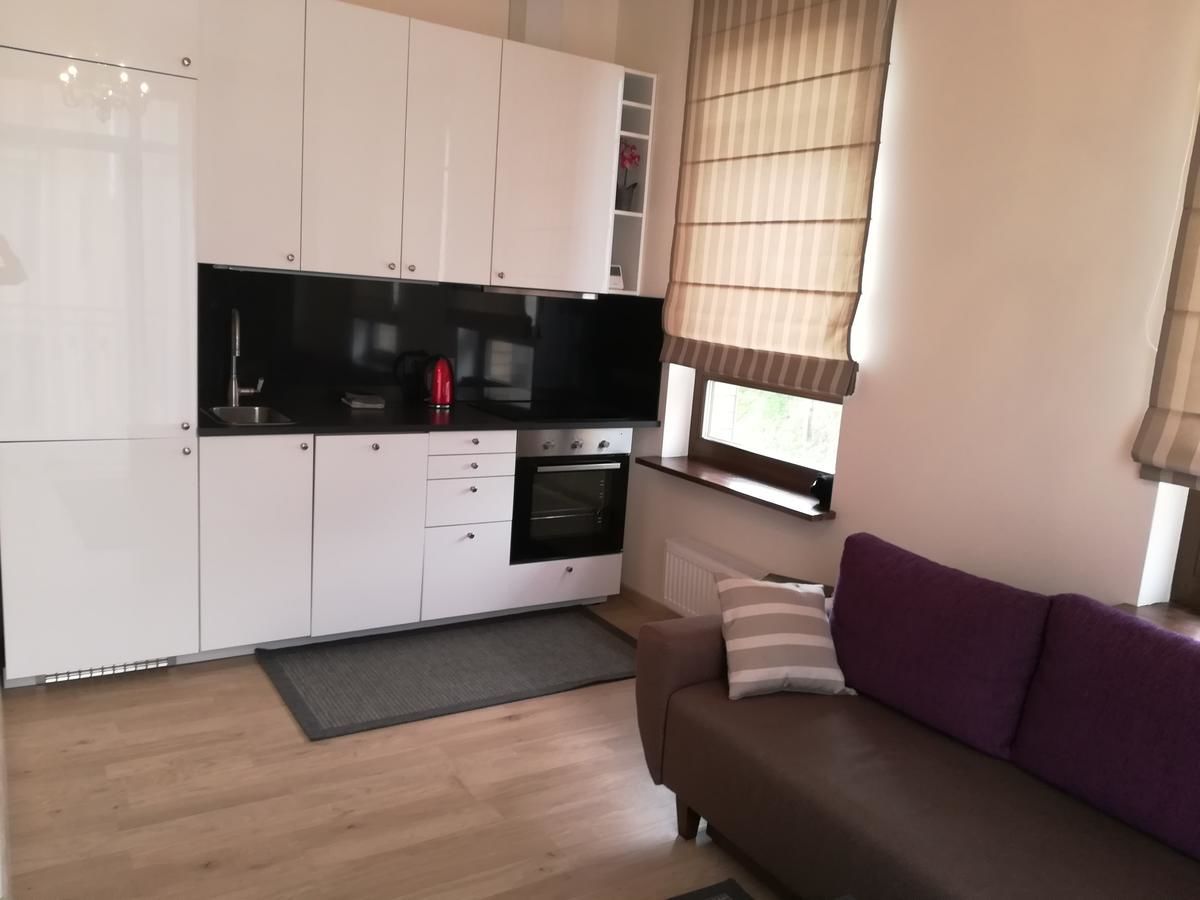 Апартаменты Old Town Apartment Vingriu Вильнюс-26