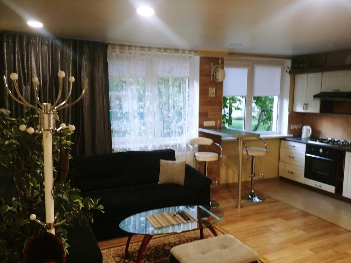 Апартаменты Apartamentai Dana Бирштонас-6