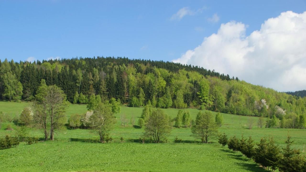 Отели типа «постель и завтрак» Villa la Val, Karkonosze Szarocin-30