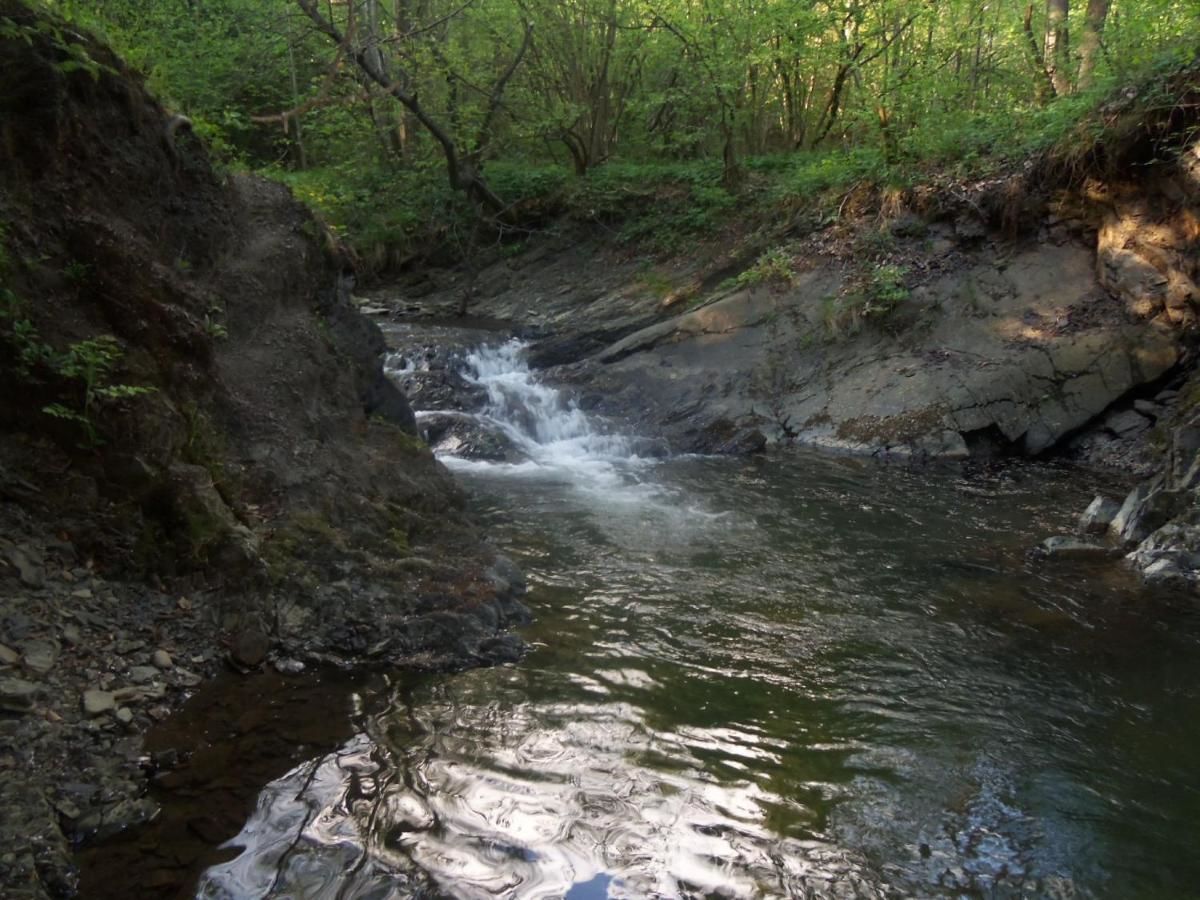 Загородные дома Agroturystyka Smolnikowe Klimaty Smolnik-45