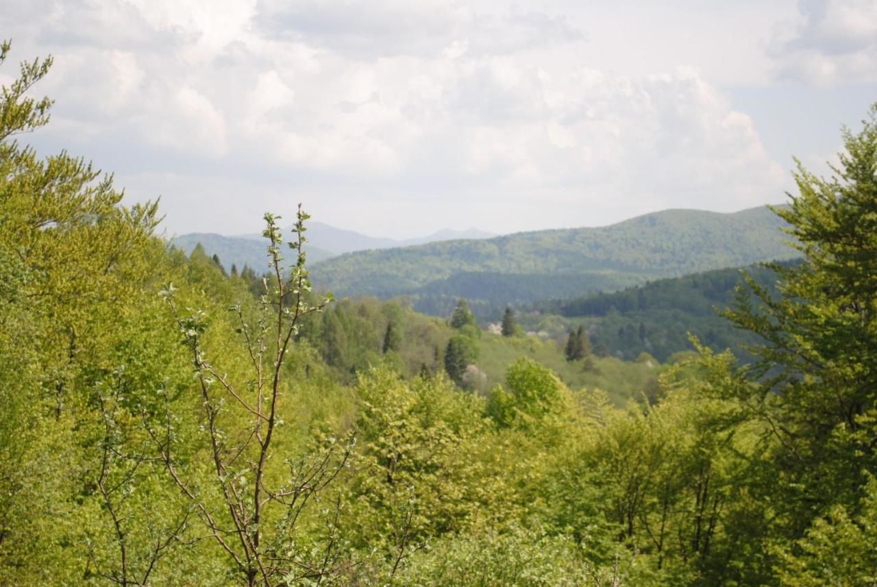 Загородные дома Agroturystyka Smolnikowe Klimaty Smolnik-48