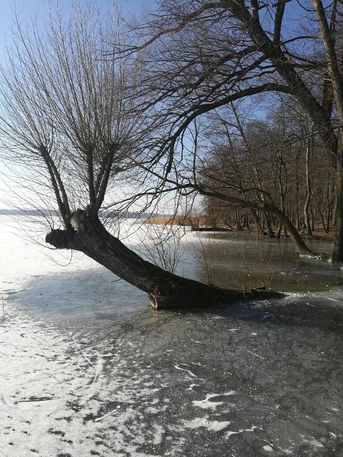 Отели типа «постель и завтрак» Dom Wczasowy Pięciu Pomostów Чаплинек-37