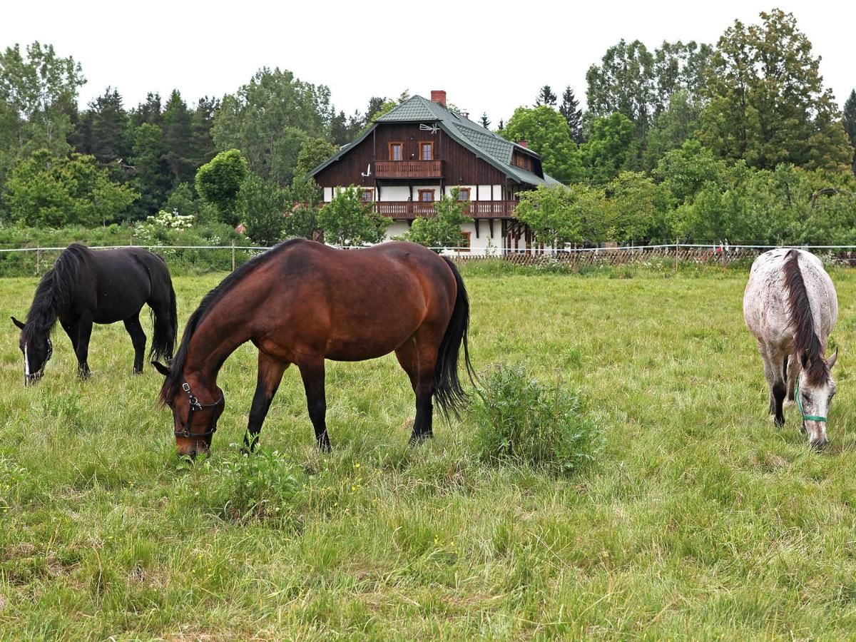 Фермерские дома Osada Jeździecka Bata Mirsk-6