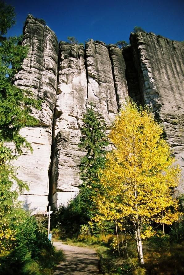 Курортные отели Ośrodek Wypoczynkowy Radosno Sokołowsko-40