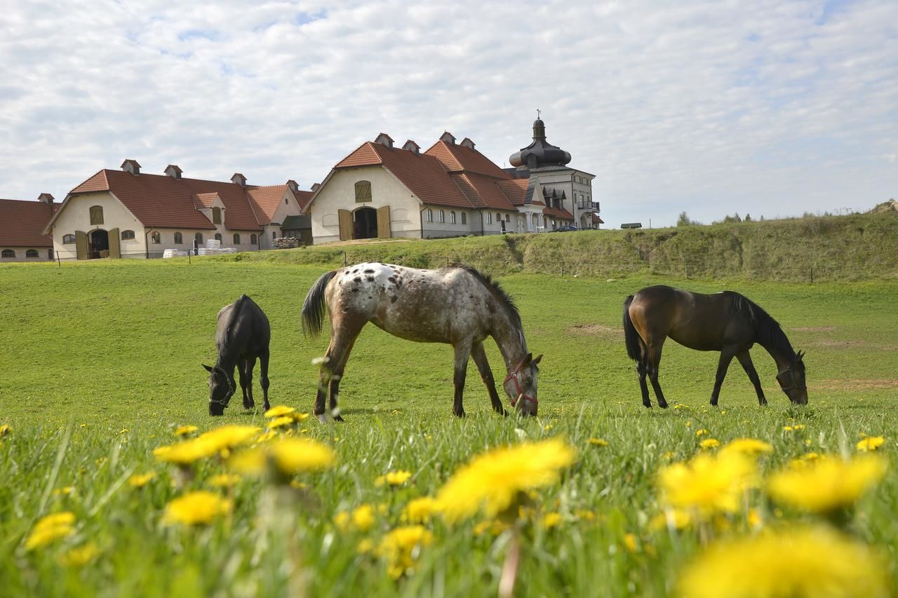 Проживание в семье Stadnina Koni Nad Wigrami Миколаево-4