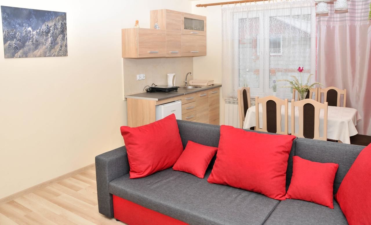 Апартаменты Apartament Pod Łanem Тылич-18