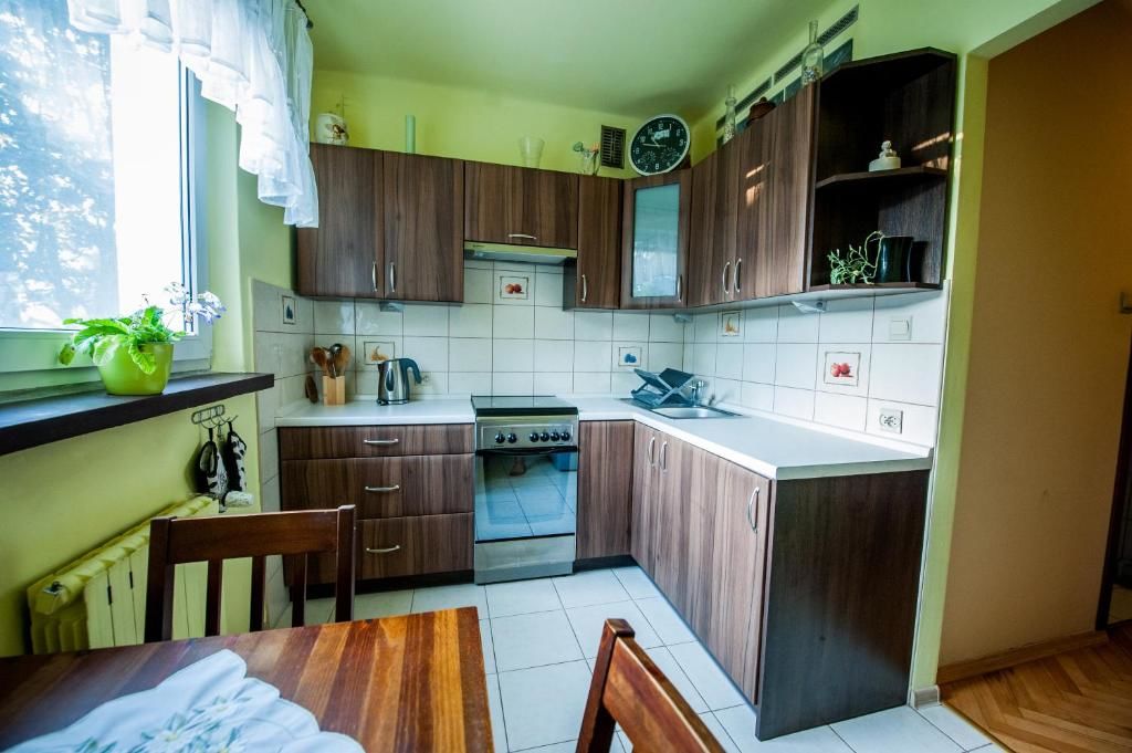 Апартаменты Apartament Eliza w Skawinie Скавина-20