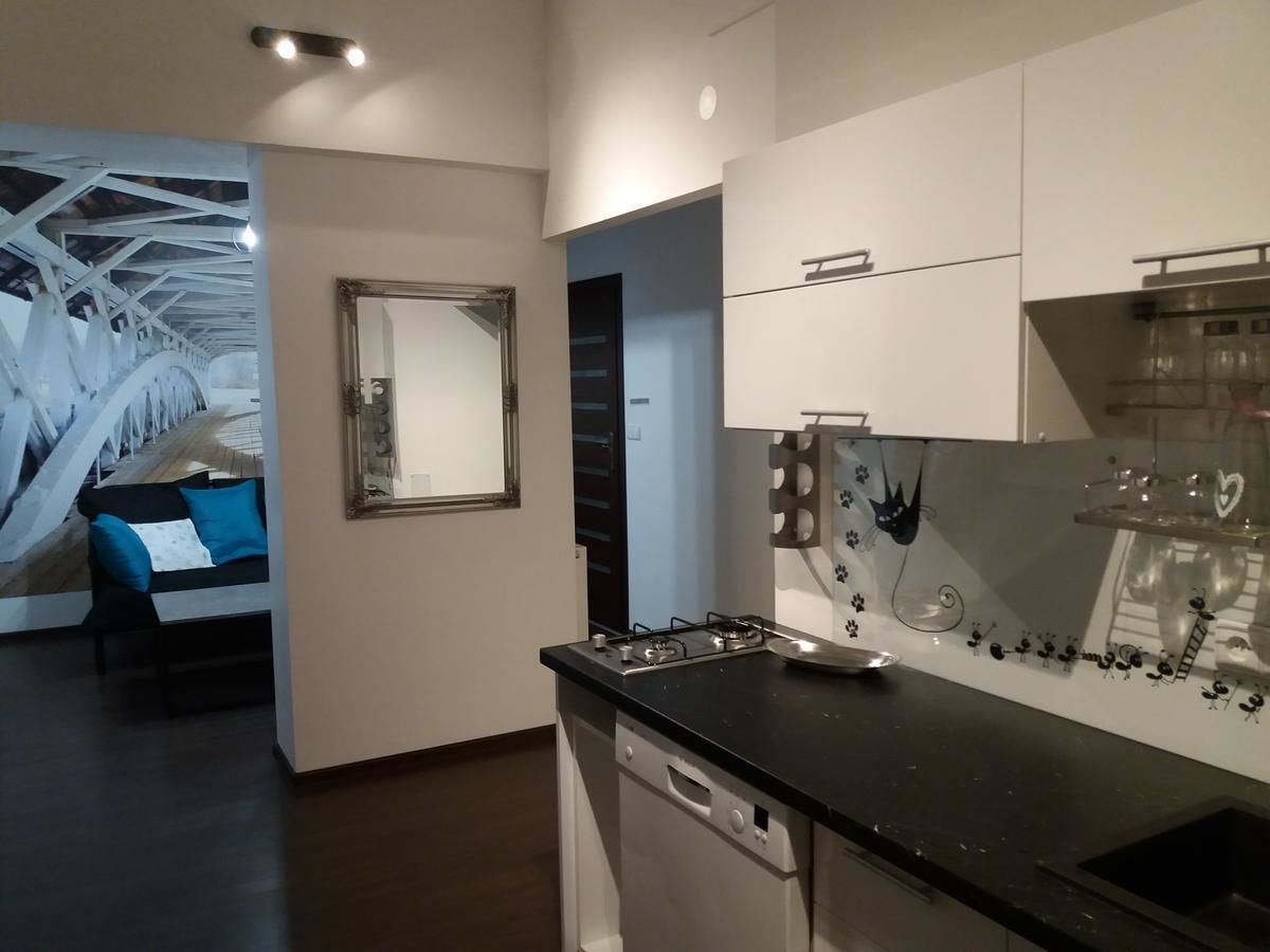 Апартаменты Apartament w Górach Новы-Тарг-27