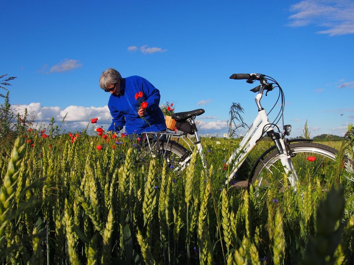 Загородные дома Agroturystyka Lolkowo Srokowo-22