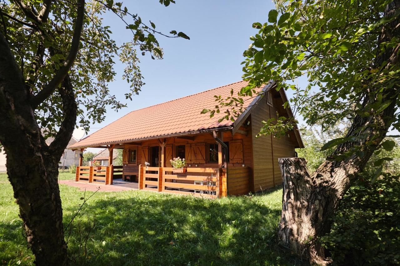 Дома для отпуска Drewniany dom z pięknym ogrodem Бохня-35