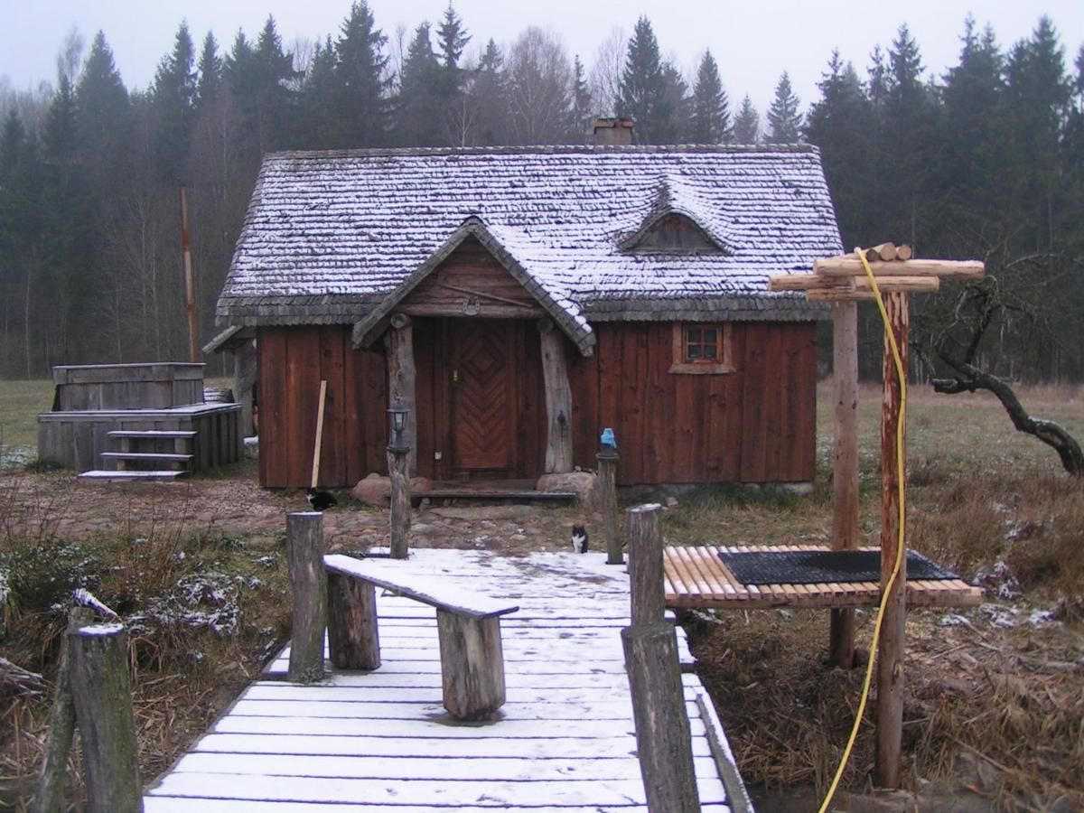 Дома для отпуска Dom z Sauną - Ługiele Dzierwiany-27