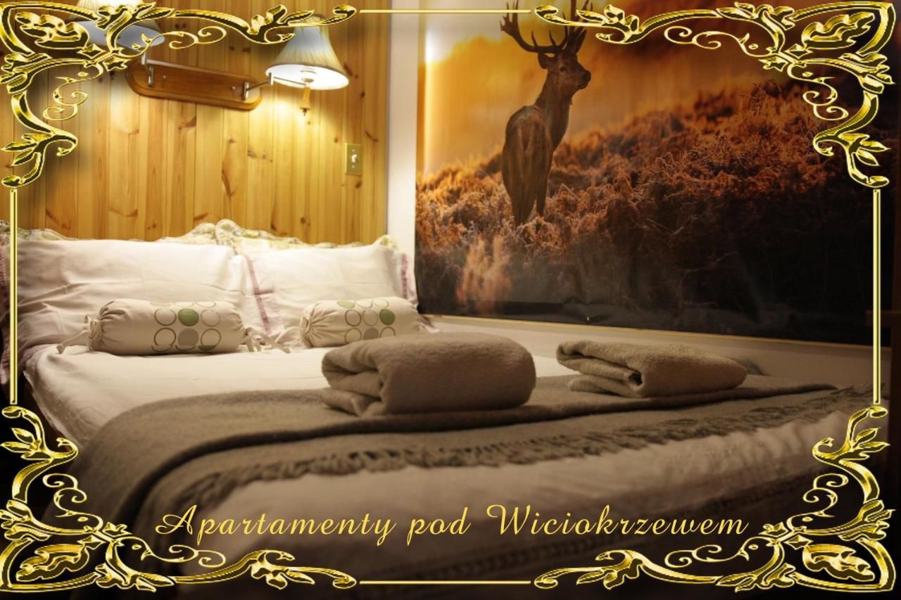 Апартаменты Apartamenty pod Wiciokrzewem Супрасль-8