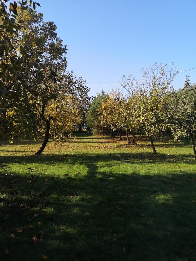 Загородные дома Siedlisko Bolek Nadrybie