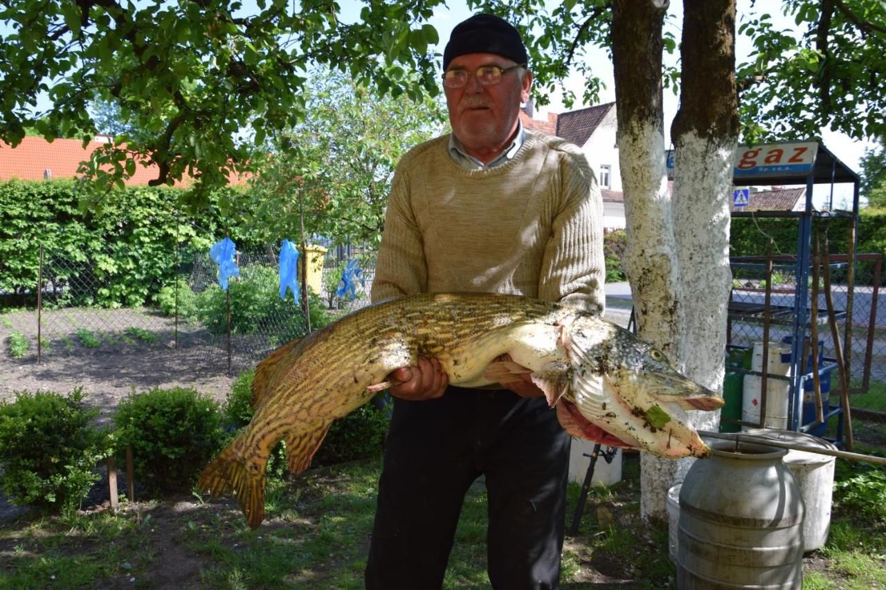 Проживание в семье Panterej Pokoje Gościnne Круклянки-4