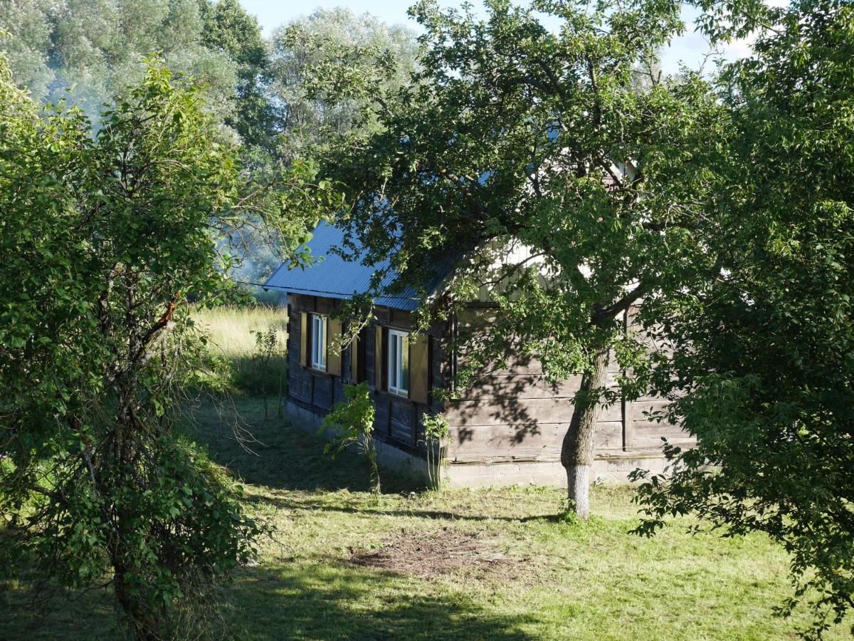 Дома для отпуска Dom między Wisłą a Kampinosem Leoncin-31