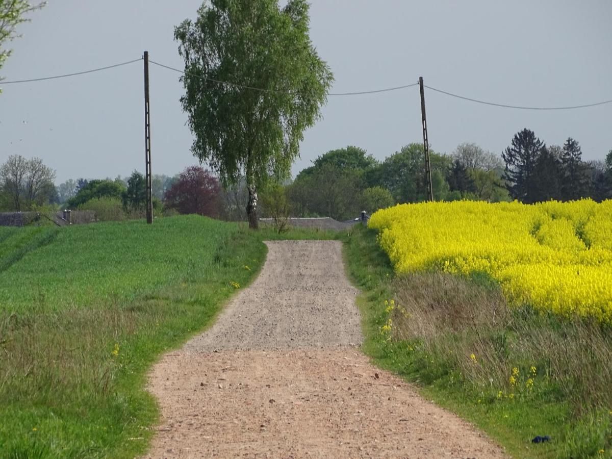 Фермерские дома Agroturystyka DANA Debrzno-14