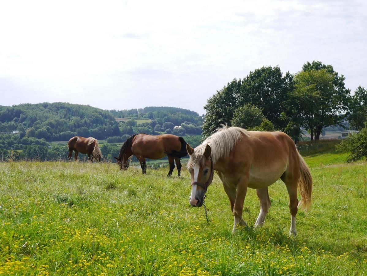 Фермерские дома Agroturystyka 