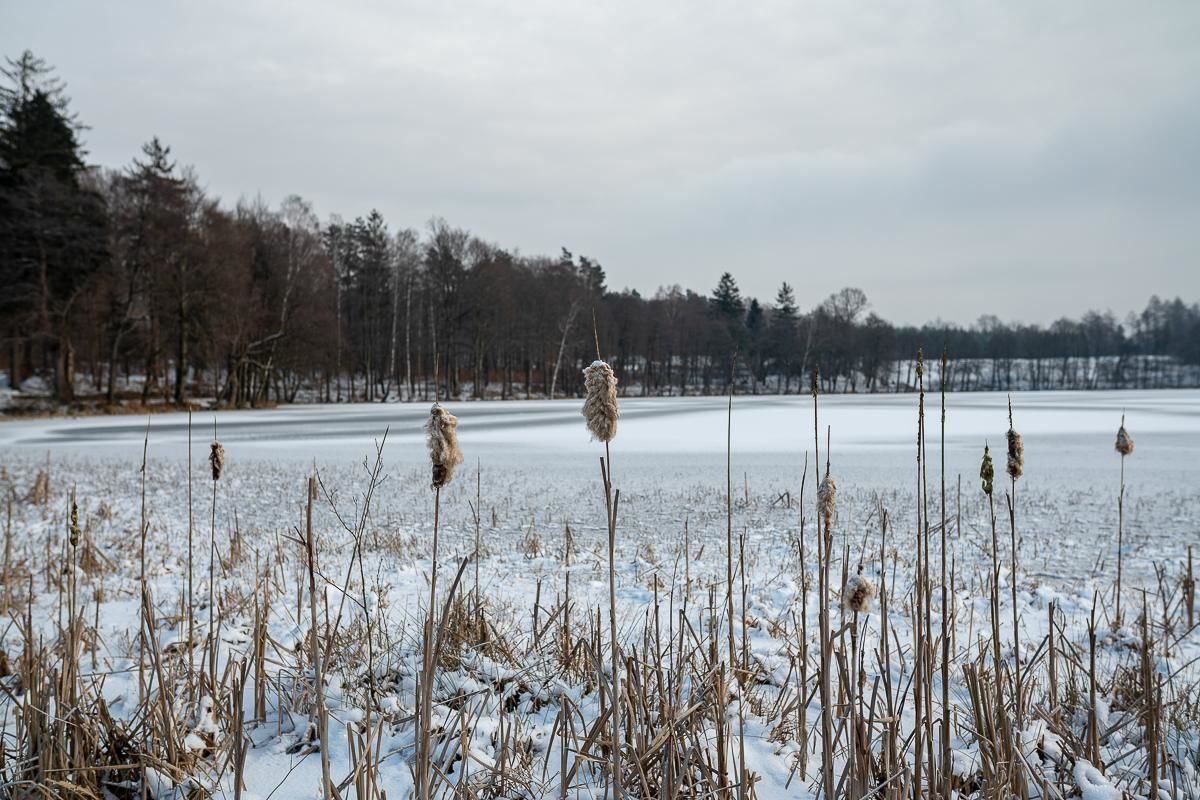 Фермерские дома Wypoczynek na Kaszubach przy jeziorach i lasach Mokrzyn-43