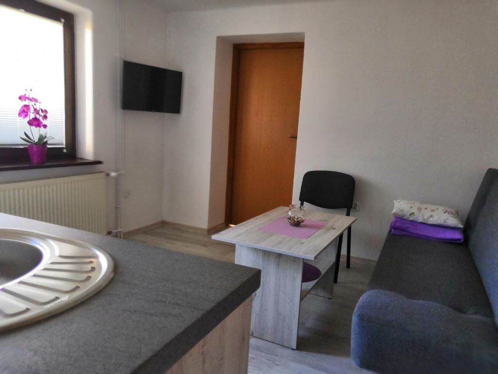 Фермерские дома Apartamenty u Krystyny Klikuszowa-13