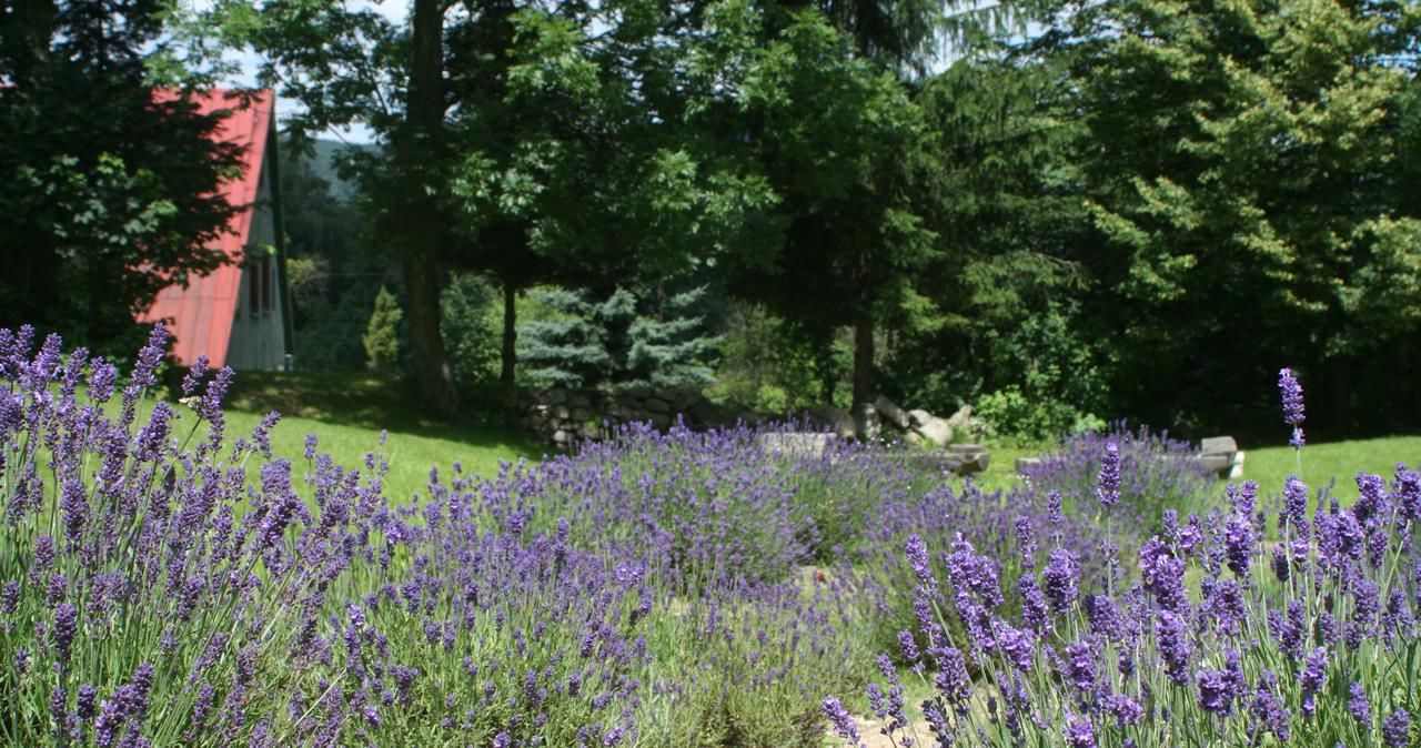 Проживание в семье Lavendowo Пеховице-13