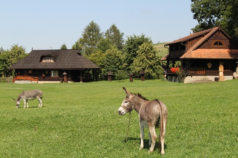 Фермерские дома Dom gościnny w Bartniku Stróże-6