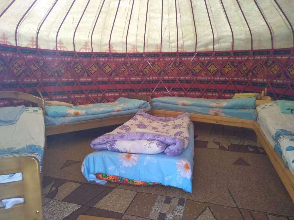 Кемпинги Karakol Yurt Lodge Каракол